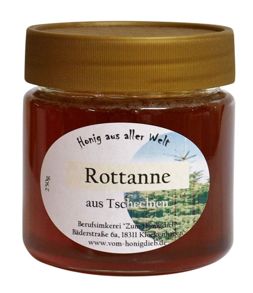 rottanne Rottanne aus Tschechien – Bild 1